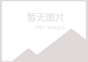 大庆红岗映易能源有限公司